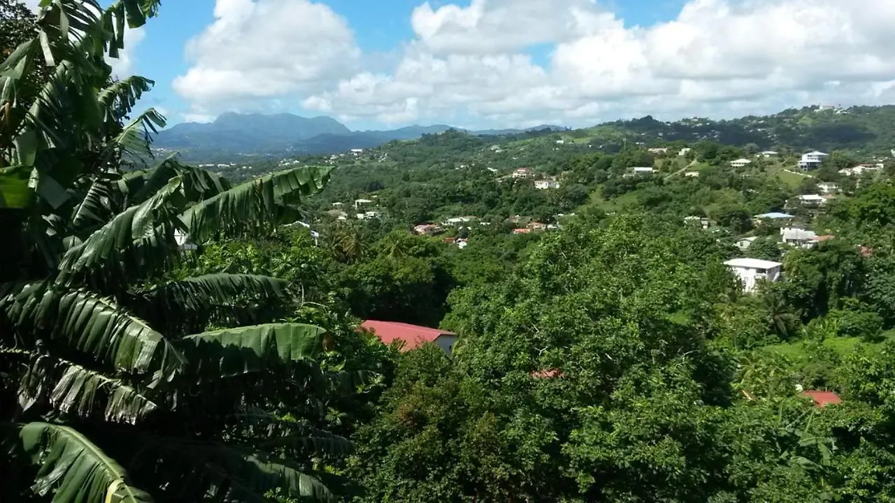 Studio BELO HORIZONTE, Grande terrasse avec vue sur les Pitons Le Robert